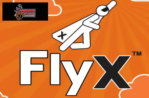 FlyX